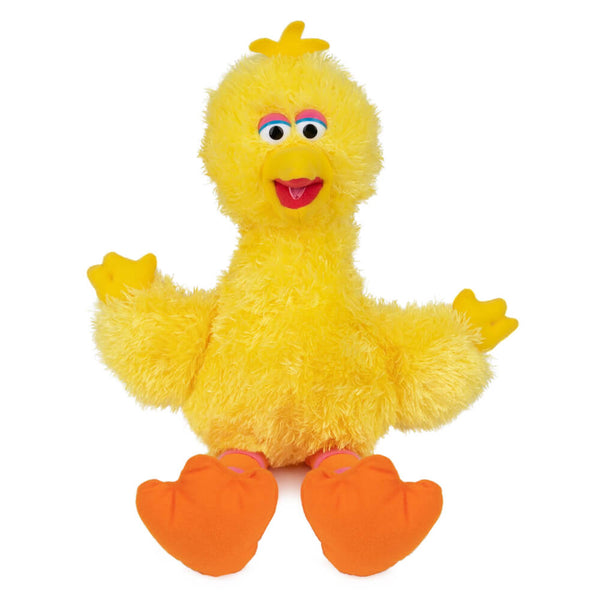 Big Bird Sesame Street Character