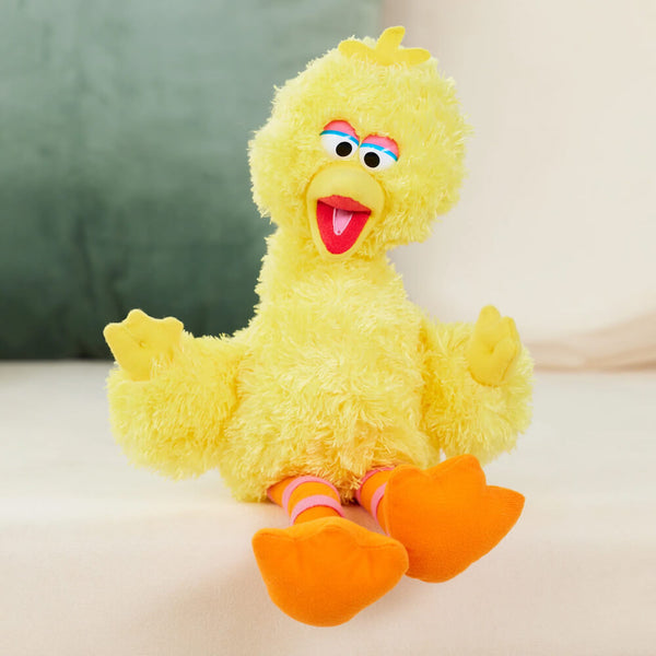 Big Bird Sesame Street Character