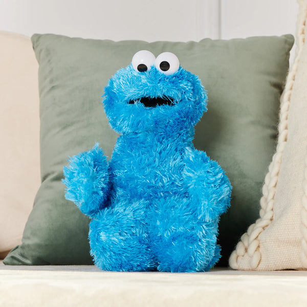 Cookie Monster Sesame Street Character