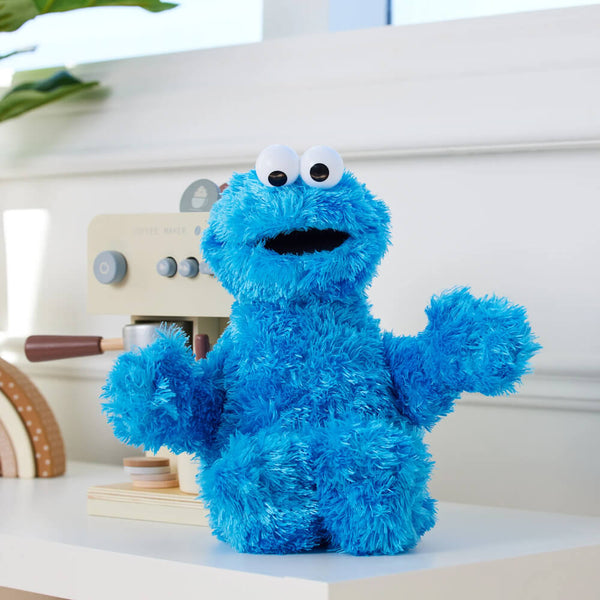 Cookie Monster Sesame Street Character