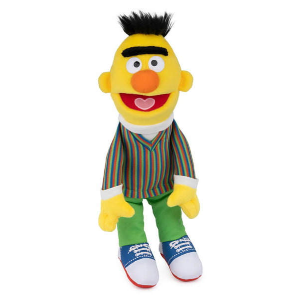 Bert Sesame Street Character