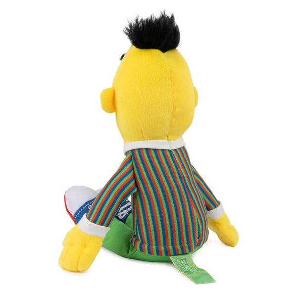 Bert Sesame Street Character