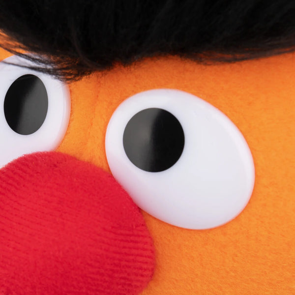 Ernie Sesame Street Character